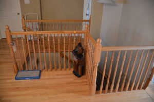 Stair railings before painting